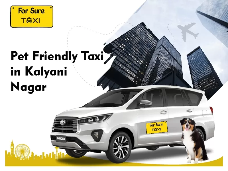 pet friendly taxi in kalyani nagar