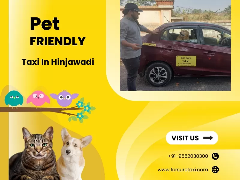 Pet Friendly Taxi in Hinjawadi