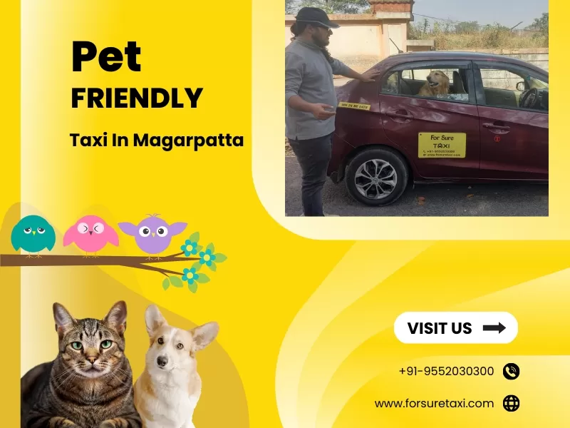 Pet Friendly Taxi in Magarpatta