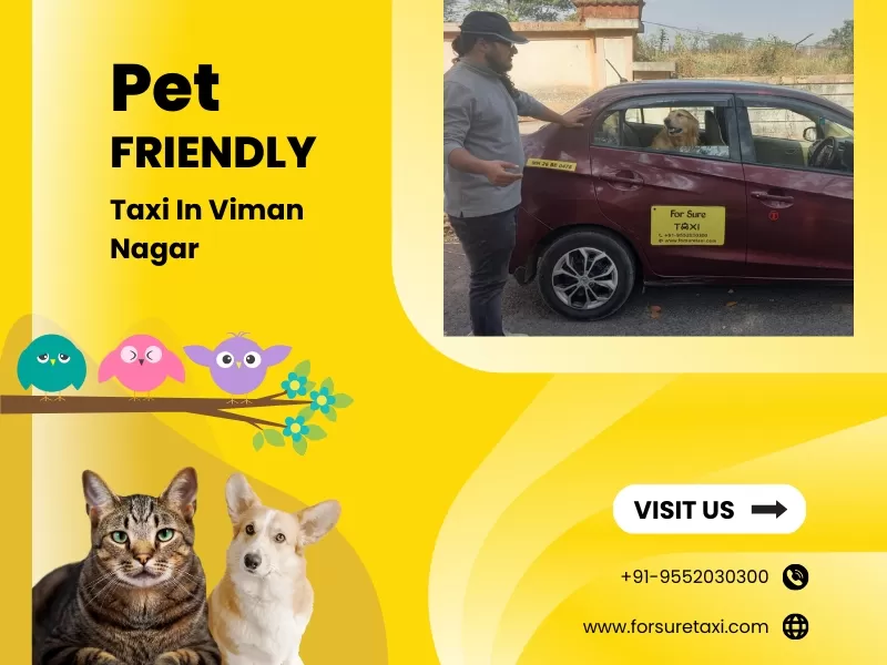 Pet Friendly Taxi in Viman Nagar