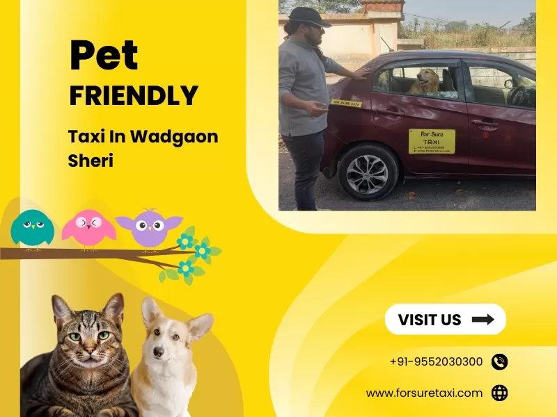 Pet Friendly Taxi in Wadgaon Sheri