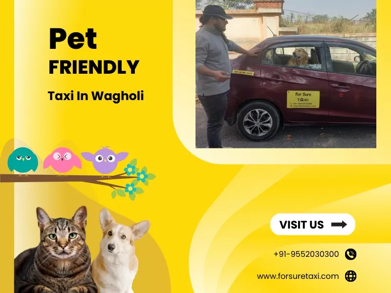 Pet Friendly Taxi in Wagholi