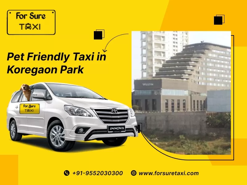 Pet Taxi in Koregaon park