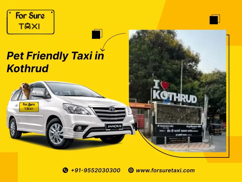 Pet Taxi in Kothrud