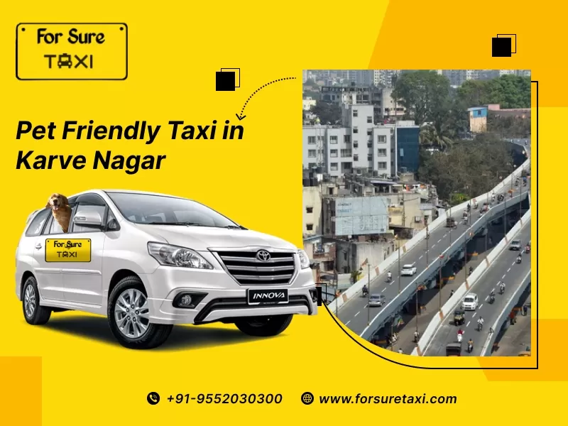 Pet Taxi in karve nagar