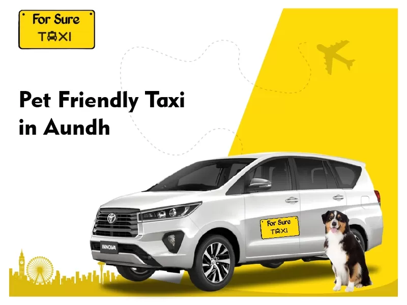 pet friendly taxi in aundh