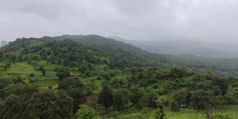 Yeoor Hills